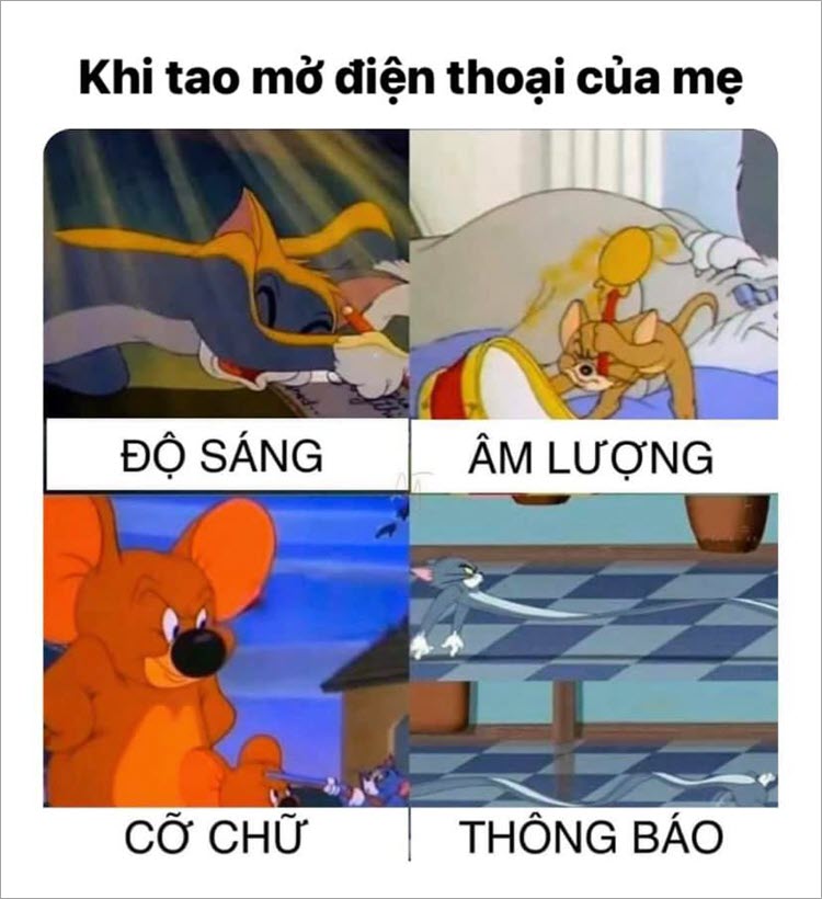 ảnh meme tom and jerry chế