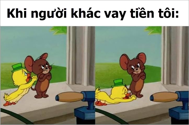 ảnh tom meme đẹp