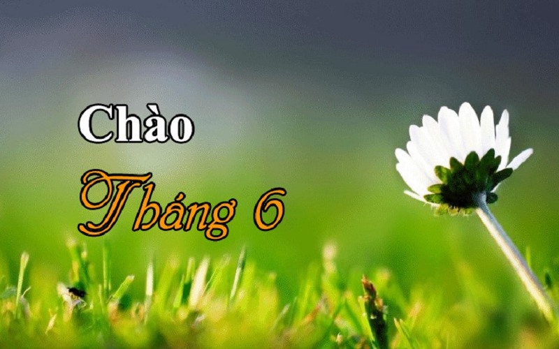 Bài thơ tháng 6