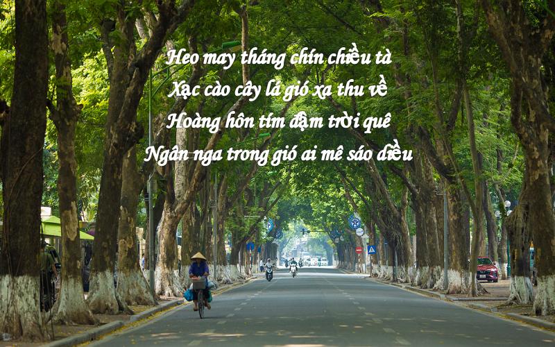 Bài thơ tháng 9