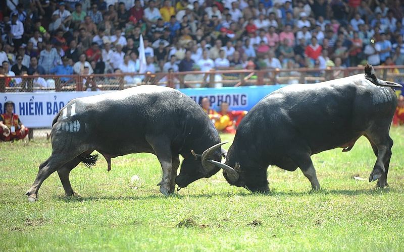 Bài thơ về lễ hội đền Hùng