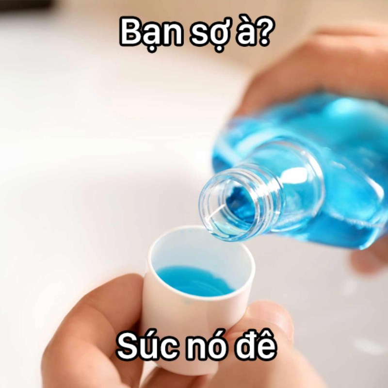 bạn sợ nó à meme