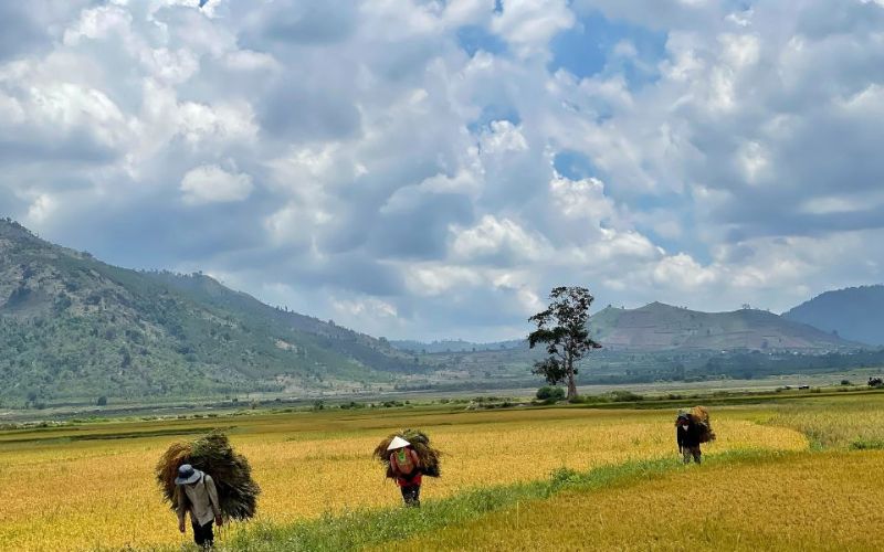 các bài thơ về thiên nhiên hay