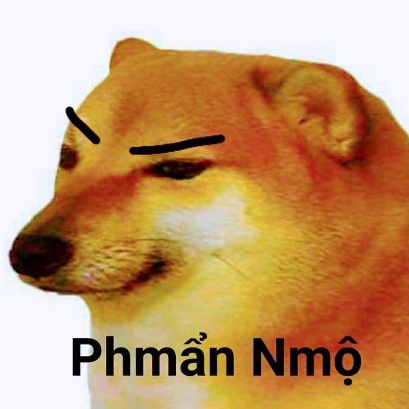 Cheems phẫn nộ meme