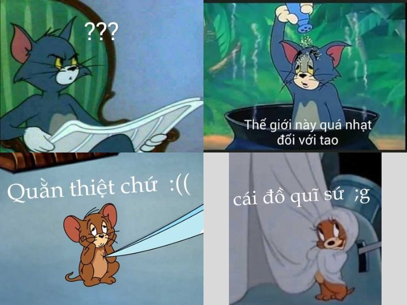 chuột jerry meme