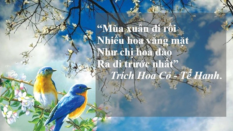 có mấy thể loại thơ