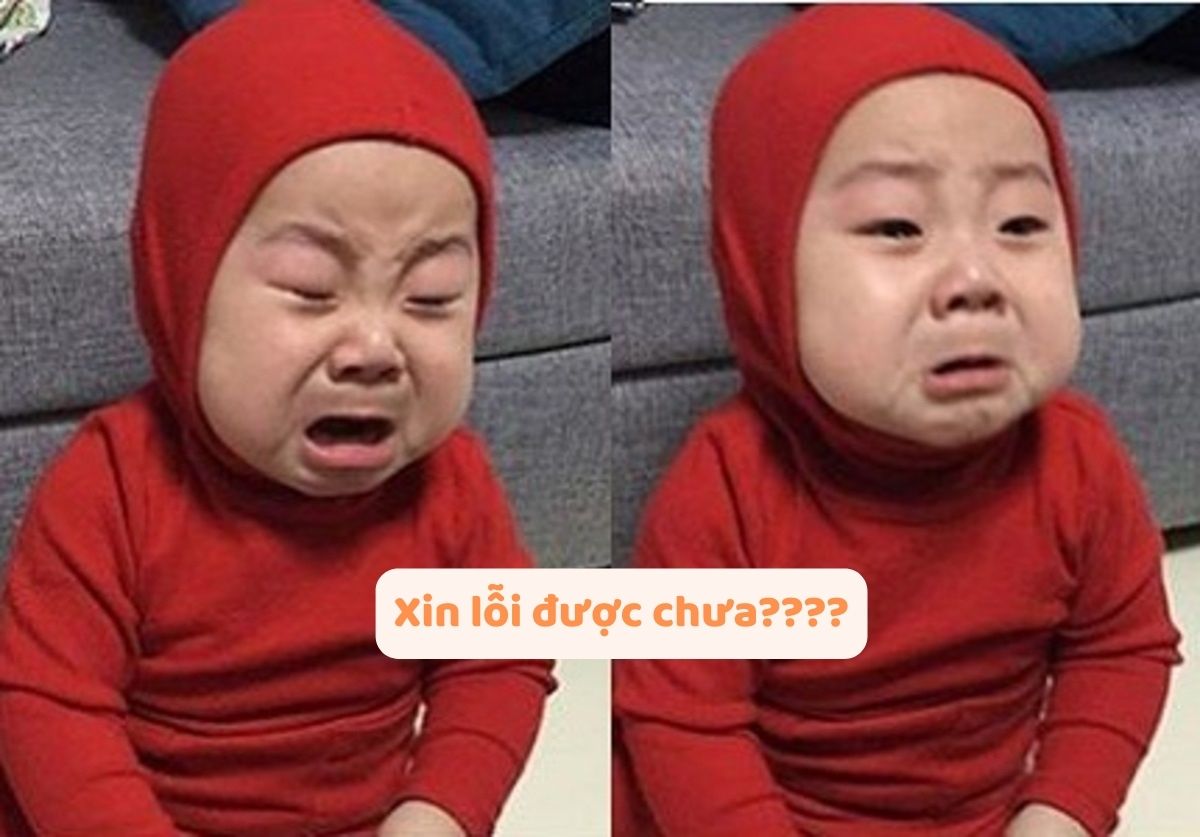 Xin lỗi được chưa???