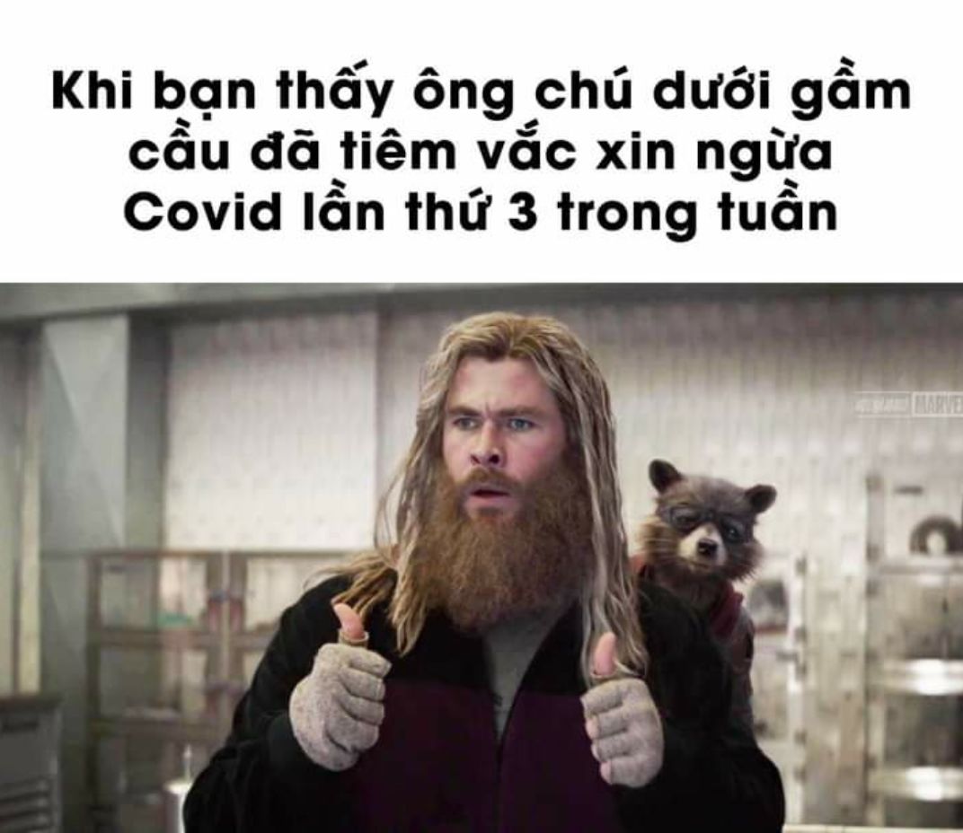 dảk meme chế