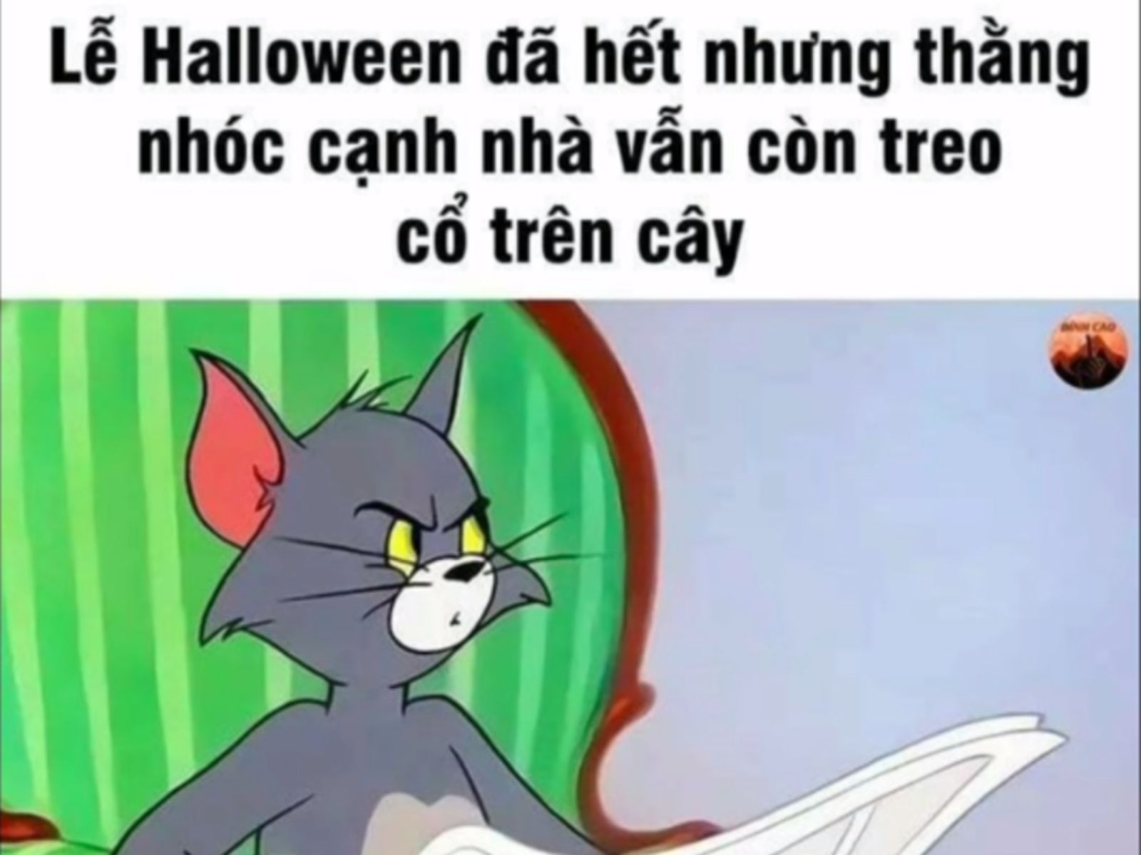 dảk meme