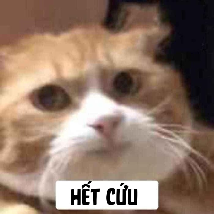 hết cứu meme