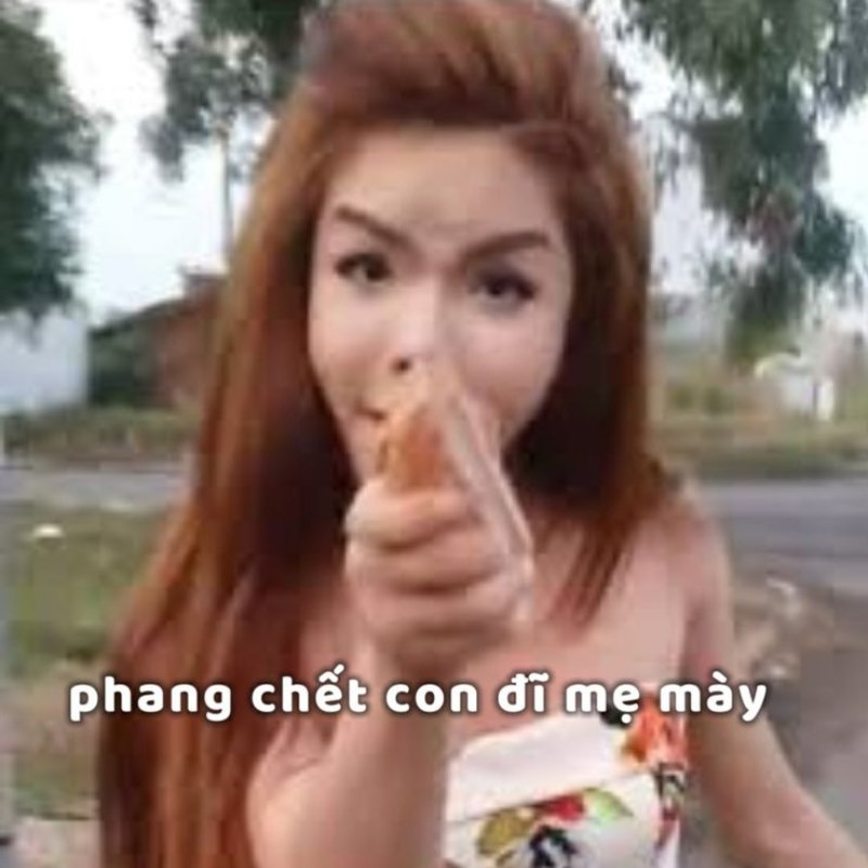 Linda gạch ống meme