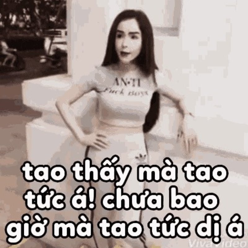 Linda Cẩm Lan Sục meme