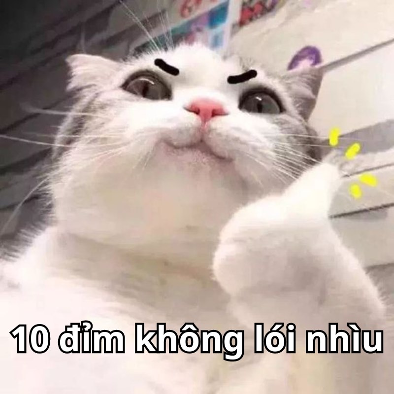 meme 10đ không nói nhiều