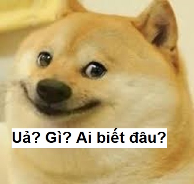 Meme ai biết gì đâu