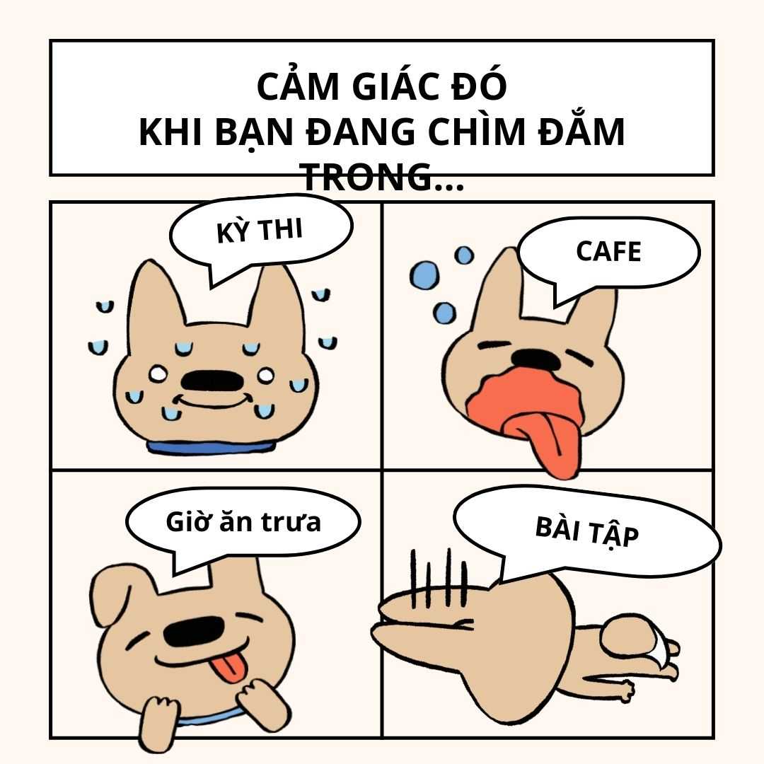 Meme chế khóc mùa thi