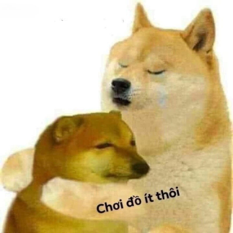 Meme Cheems an ủi