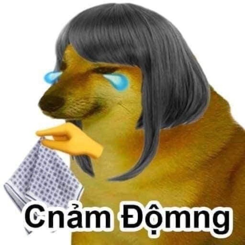 Meme Cheems cảm động