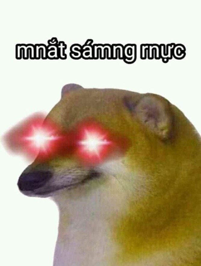 Meme Cheems mắt sáng