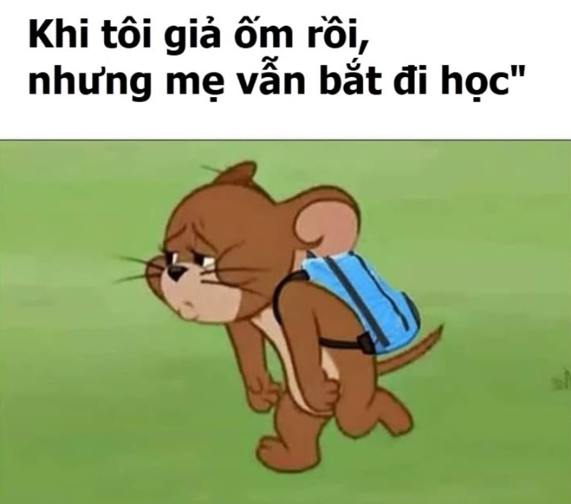 meme chuột jerry hài