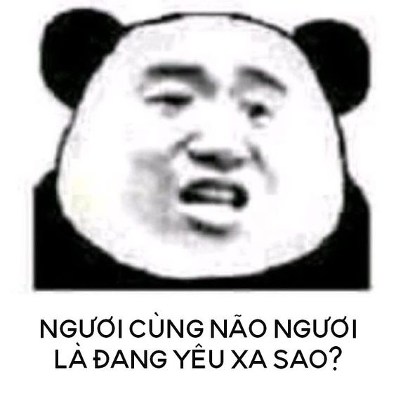 meme con gấu trúc hài