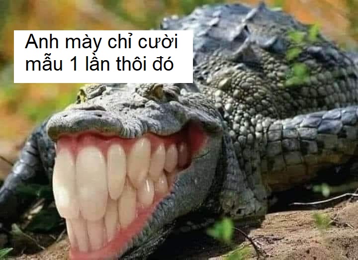 Meme cười nhe răng