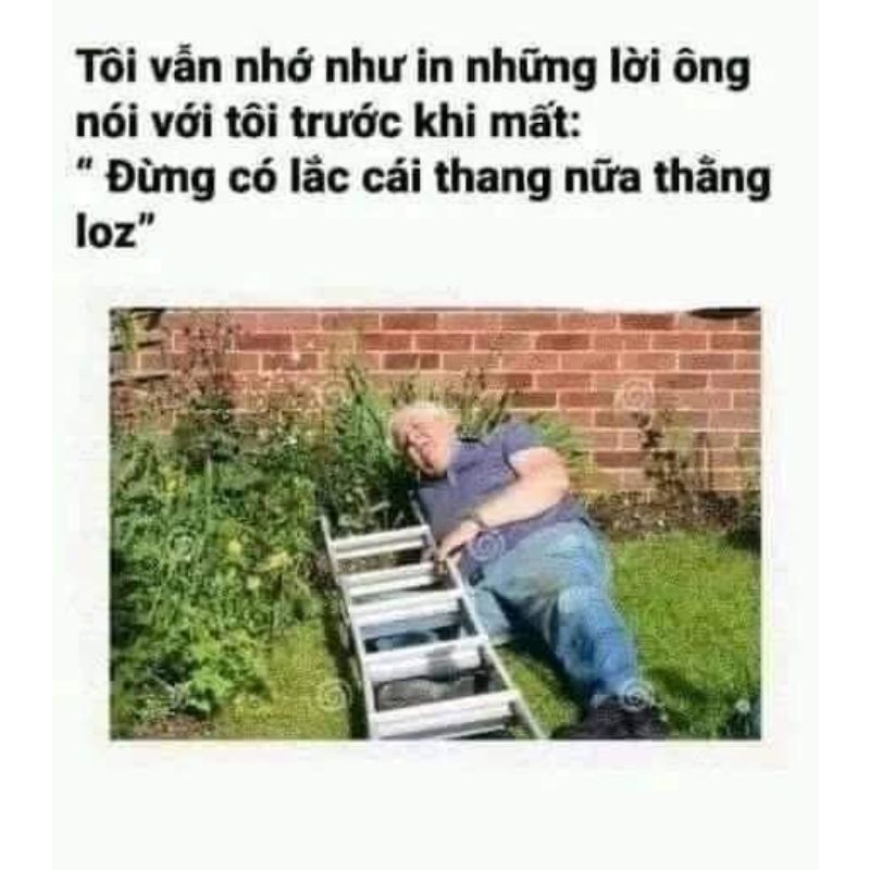 meme dảk chế