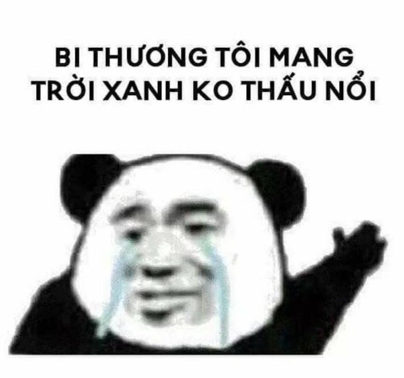 meme dỗi gấu đáng yêu