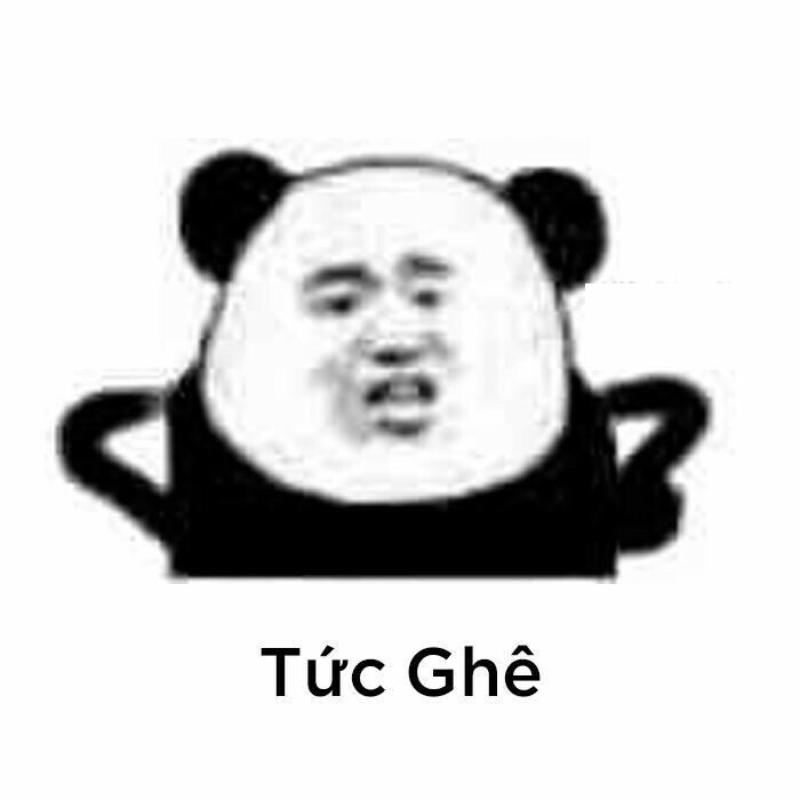 meme dỗi gấu trúc