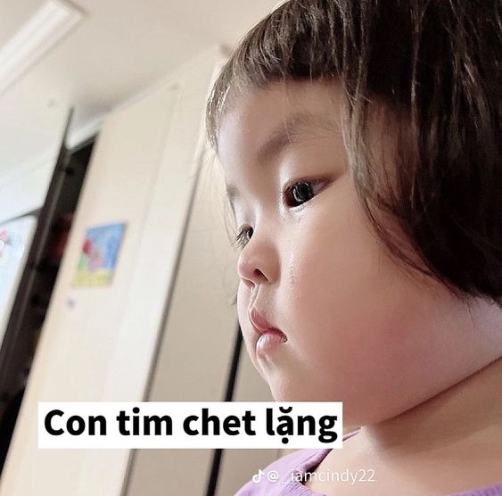 meme em bé chết lặng