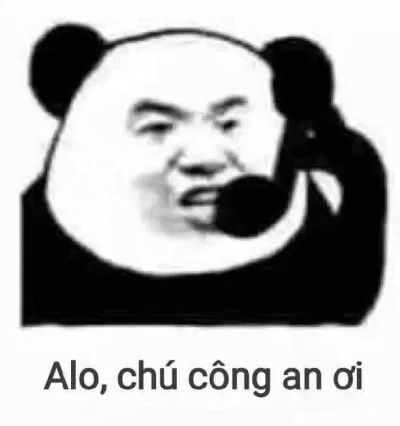 meme gấu trúc bựa