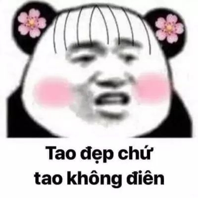 meme gấu trúc cáo từ