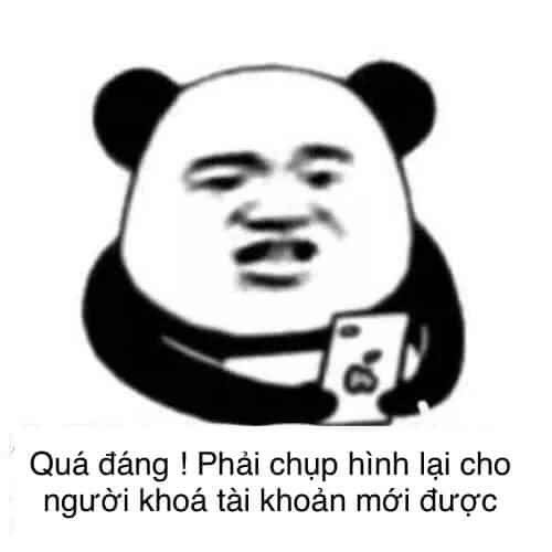 meme gấu trúc chụp màn hình