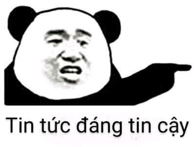 meme gấu trúc đáng tin