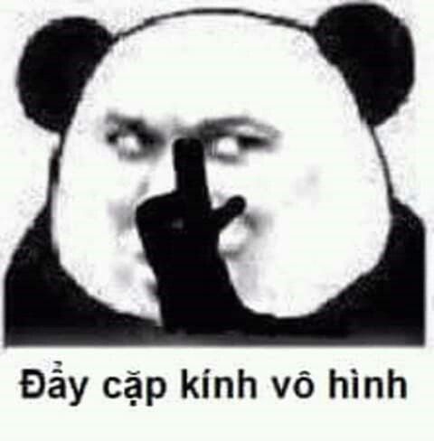 meme gấu trúc đẩy kính