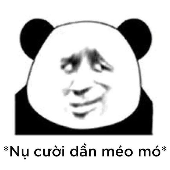 meme gấu trúc dễ thương