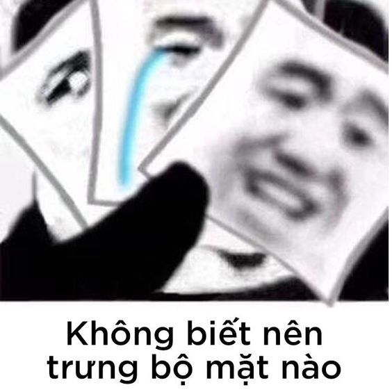 meme gấu trúc hài hước