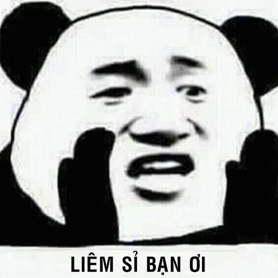 meme gấu trúc hài