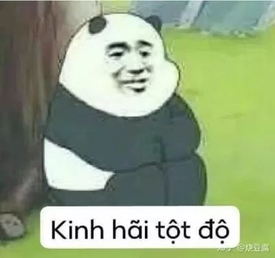 meme gấu trúc kinh hãi