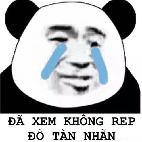 meme gấu trúc mắt thâm