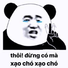 meme gấu trúc rưng rưng