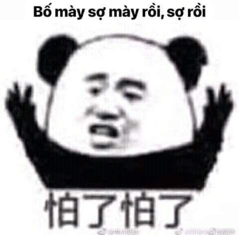 meme gấu trúc sợ