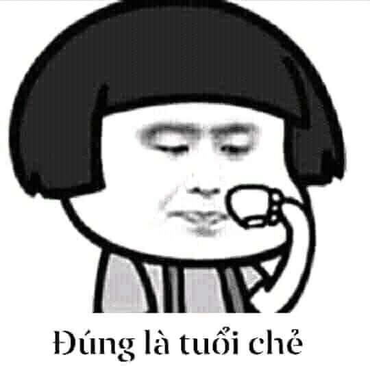 meme gấu trúc suy tư