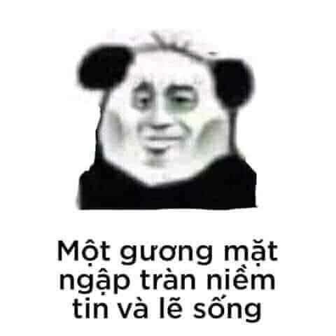 meme gấu trúc tàn tạ