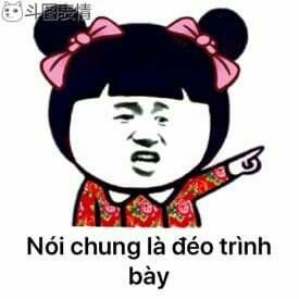 meme gấu trúc trình bày