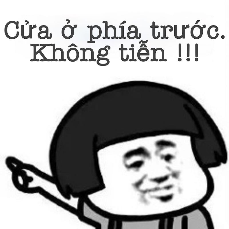 meme gấu trúc trung quốc hài hước