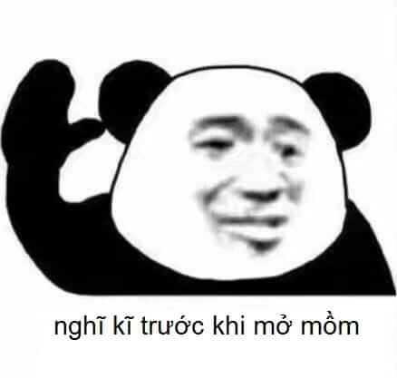 meme gấu trúc vả