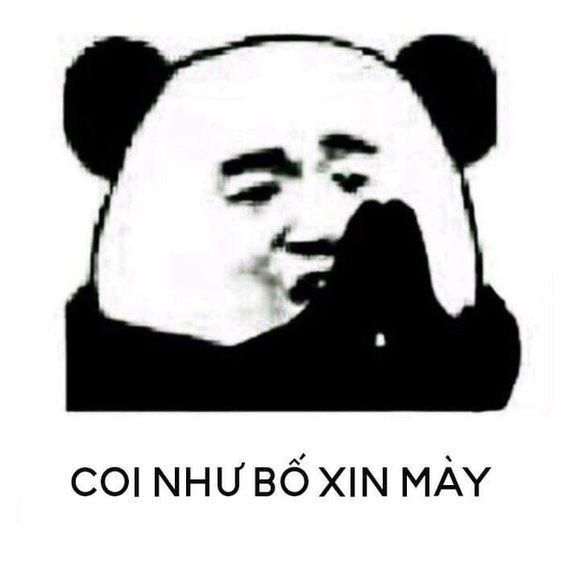 meme gấu trúc van xin