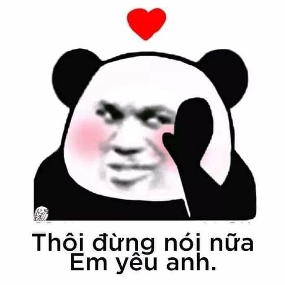 meme gấu trúc yêu đương