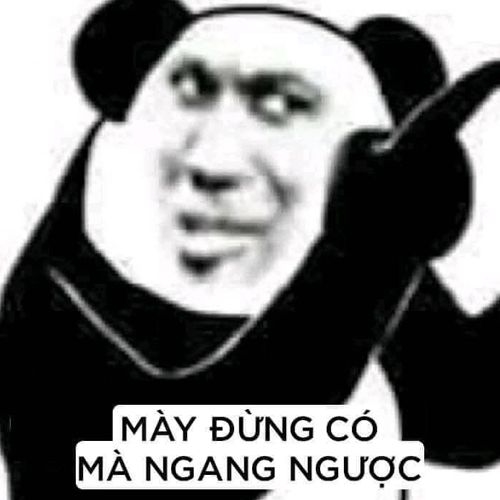 meme gấu Trung Quốc