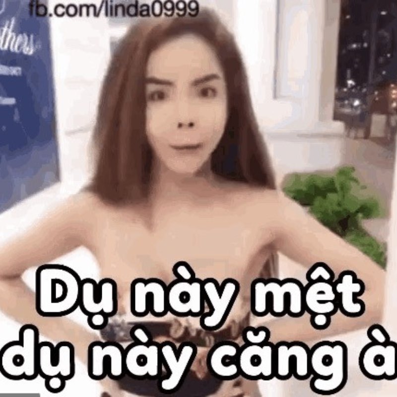 Meme Linda chửi